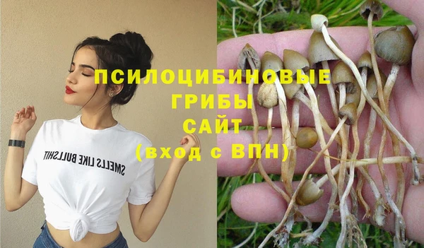 прущий лед Алексеевка