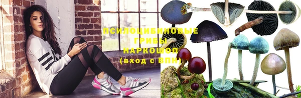 прущий лед Алексеевка