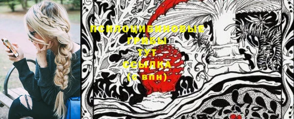 прущий лед Алексеевка